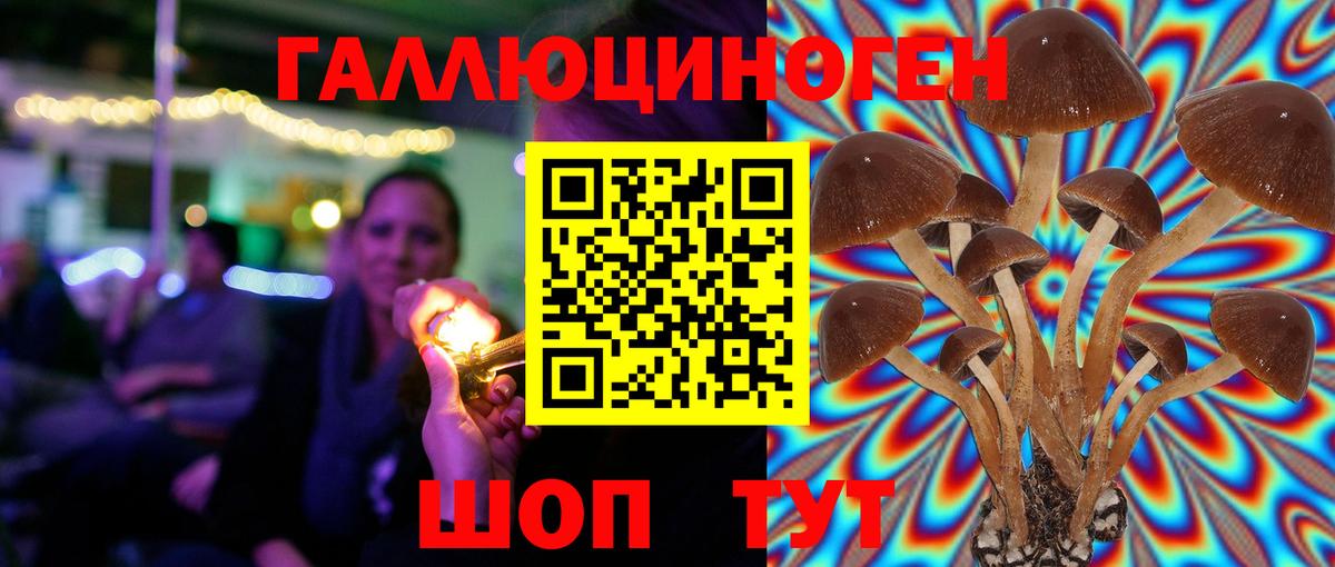 Жуковский  Псилоцибиновые грибы прущие грибы  Вход с VPN  Галлюциногенные грибы ЛСД 